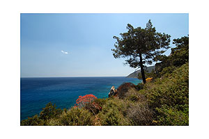 Das blaue Mittelmeer  - Dank der krftigen Sommerwinde hat man auf Karpathos auch im Hochsommer eine traumhafte Sicht. Die Horizont-Linie beweist dies.